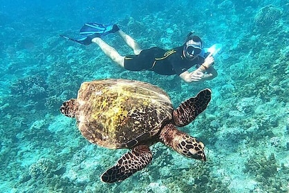 Sea Scooter Snorkel Tour - Reef Adventure with Turtles, Rays and Sharks
