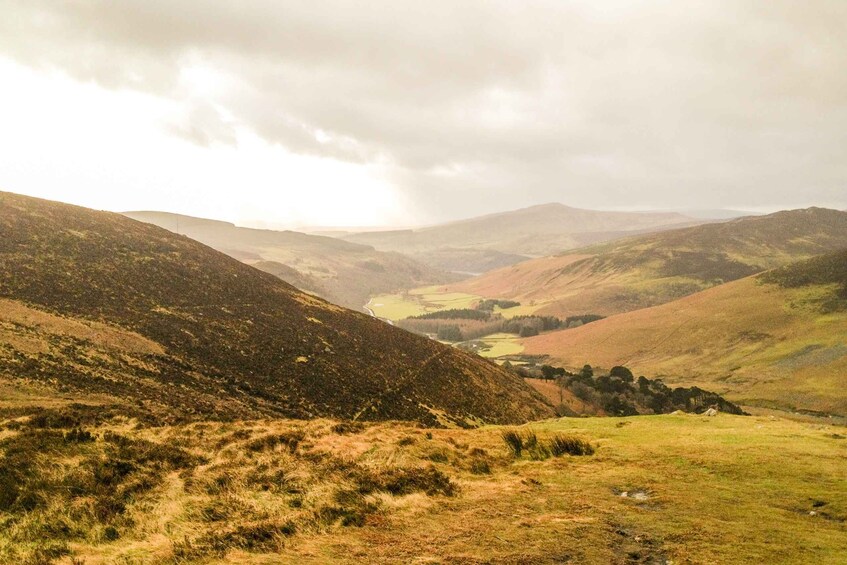 Picture 7 for Activity From Dublin: Wild Wicklow Mountains and Glendalough Tour