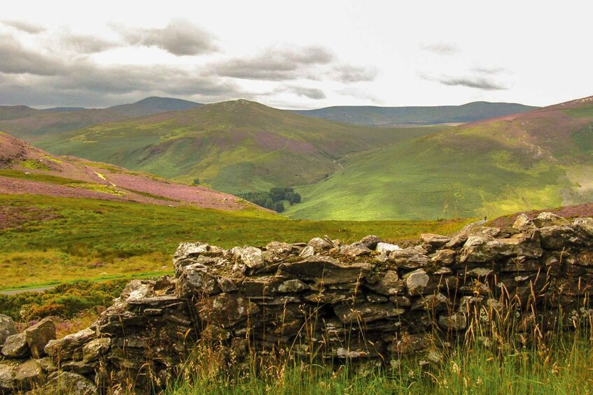 Picture 5 for Activity From Dublin: Wild Wicklow Mountains and Glendalough Tour