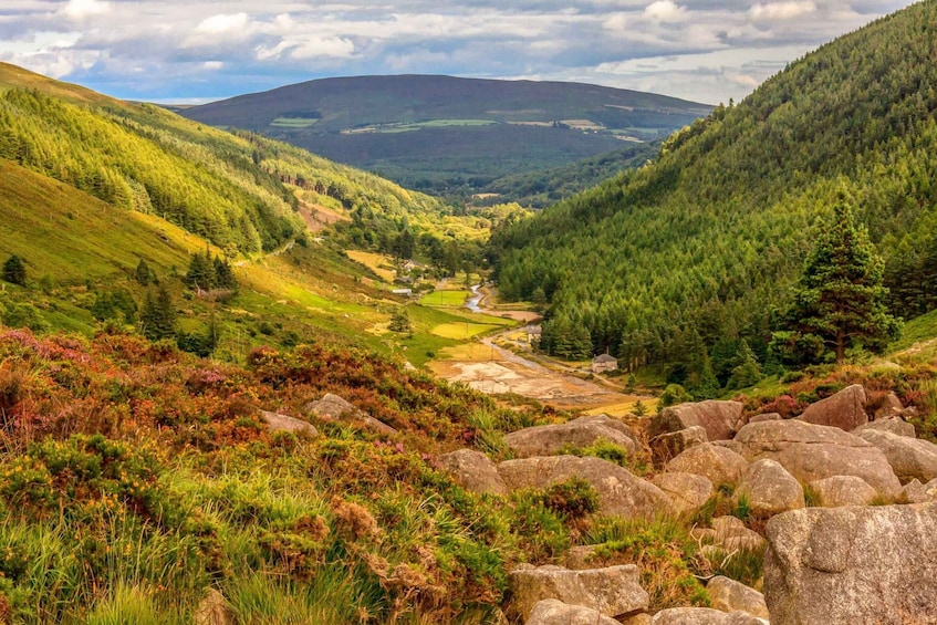 Picture 1 for Activity From Dublin: Wild Wicklow Mountains and Glendalough Tour