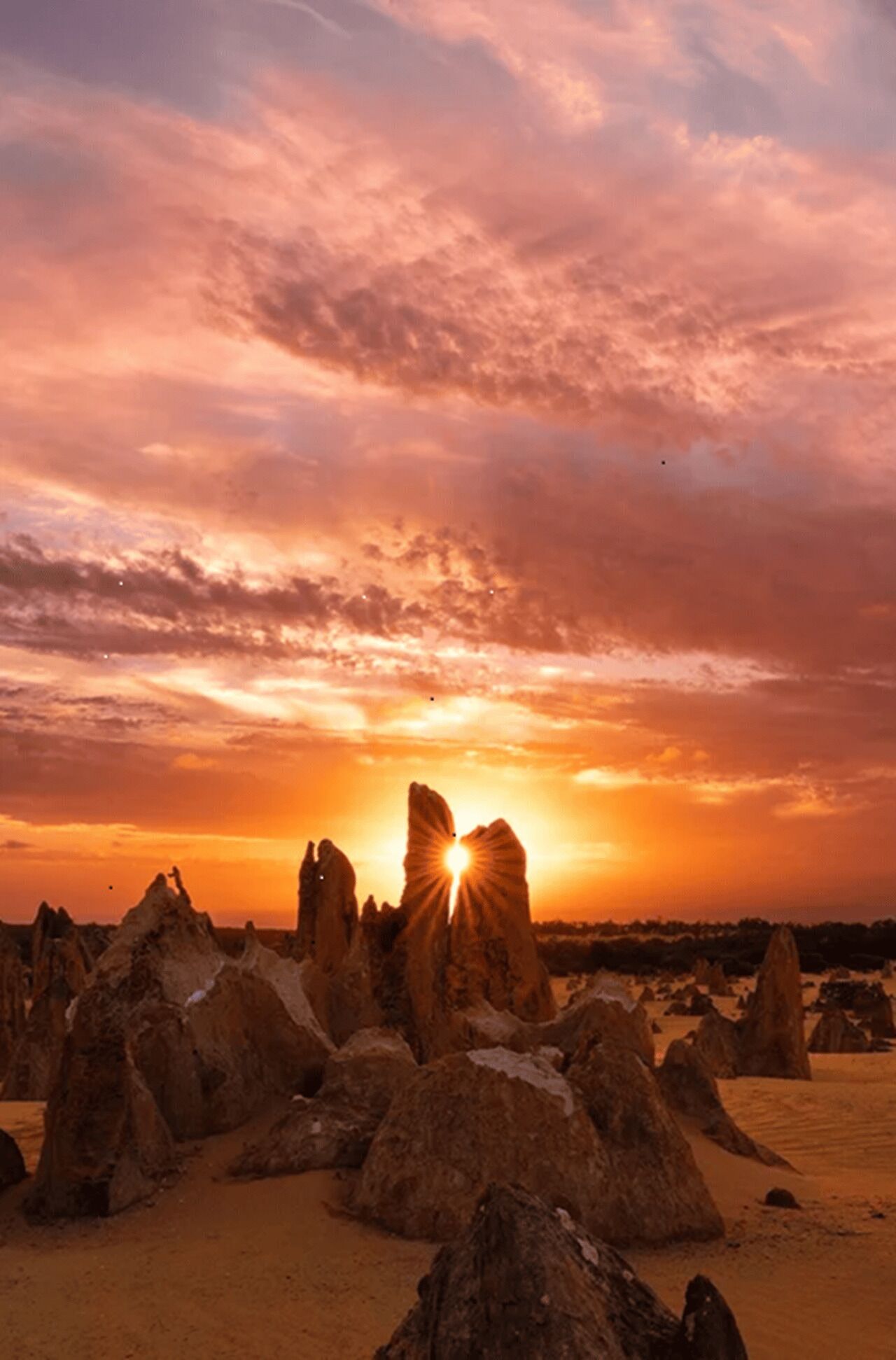 Perth: Pinnacles Desert Sunset and Stargazing with Dinner