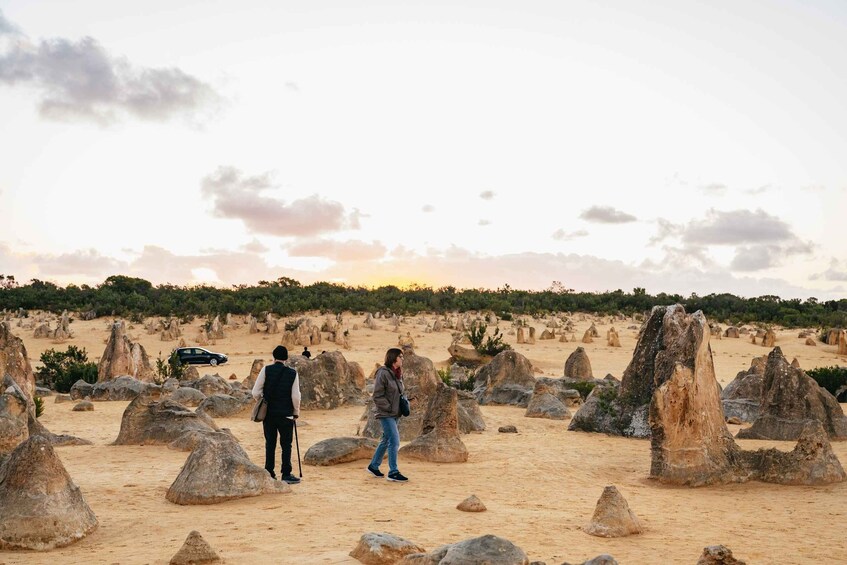 Picture 1 for Activity Perth: Pinnacle Desert Sunset and Stargazing with Dinner