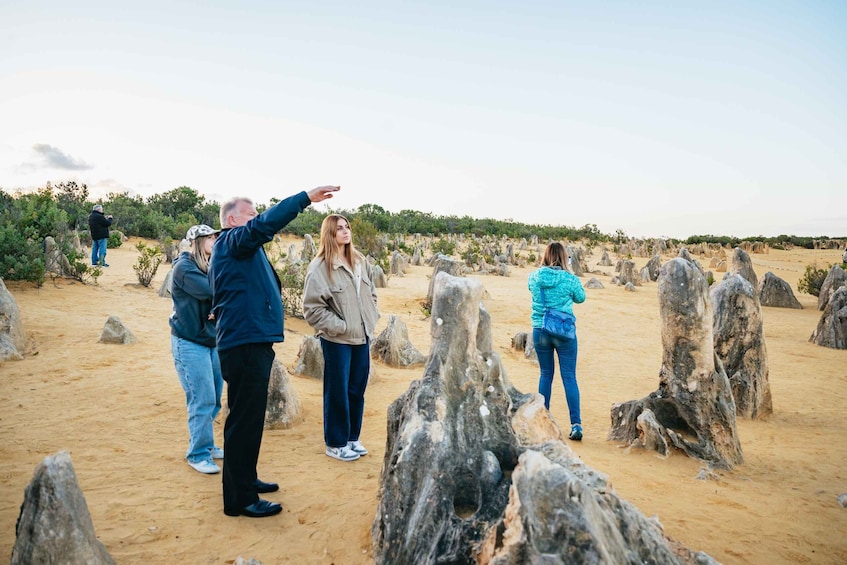 Picture 9 for Activity Perth: Pinnacles Desert Sunset and Stargazing with Dinner