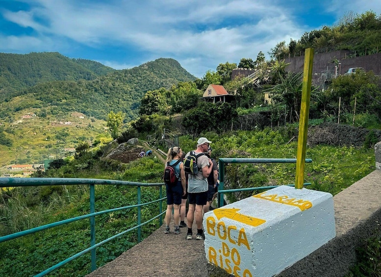 Picture 6 for Activity Vereda do Larano: Machico to Porto da Cruz via Boca do Risco