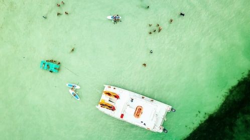 Demi-journée d'aventure sur les bancs de sable de Key West avec Mangrove Ka...