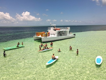 Petualangan Setengah Hari di Gumuk Pasir Utama Key West dengan Tur Ramah Li...