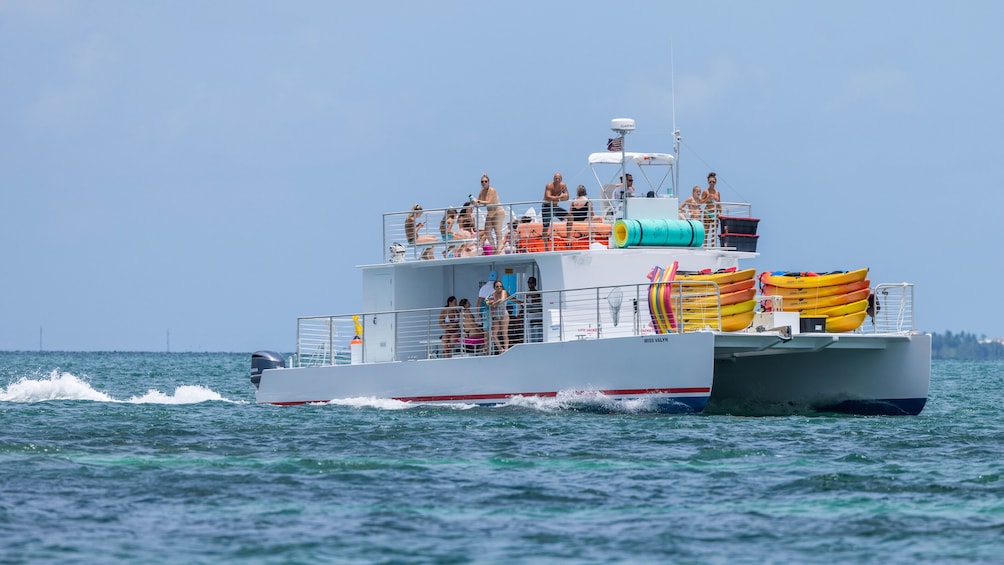 Half-Day Key West's Ultimate Sandbar Adventure with Mangrove Kayak Eco Tour