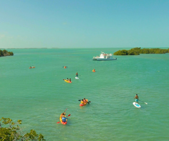 Half-Day Key West's Ultimate Sandbar Adventure with Mangrove Kayak Eco Tour