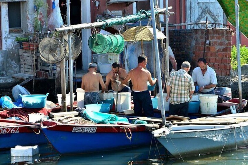 Guided tour of the Little Venice of Chioggia