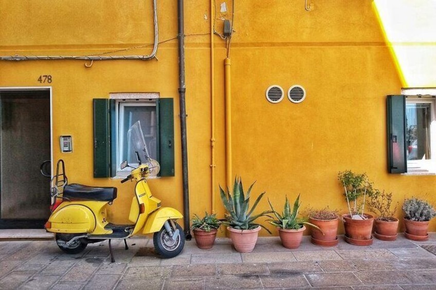 Guided tour of the Little Venice of Chioggia