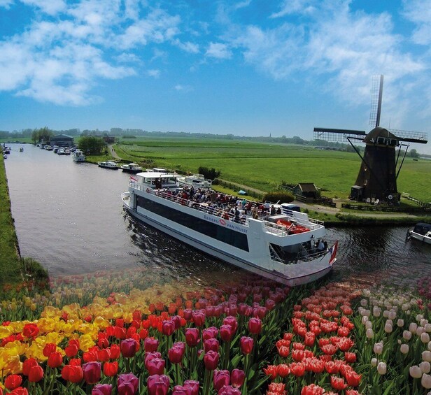 Amsterdam: Tour to Keukenhof Gardens with Windmill Cruise