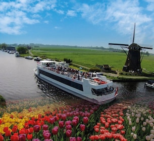 Amsterdam: Tour dei Giardini di Keukenhof con crociera sui mulini a vento