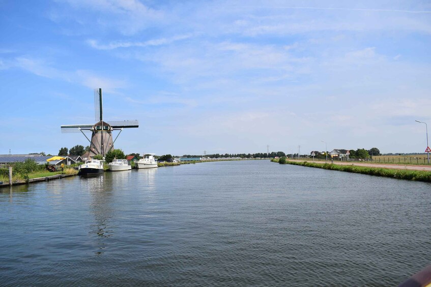 Picture 3 for Activity Amsterdam: Tour to Keukenhof Gardens with Windmill Cruise