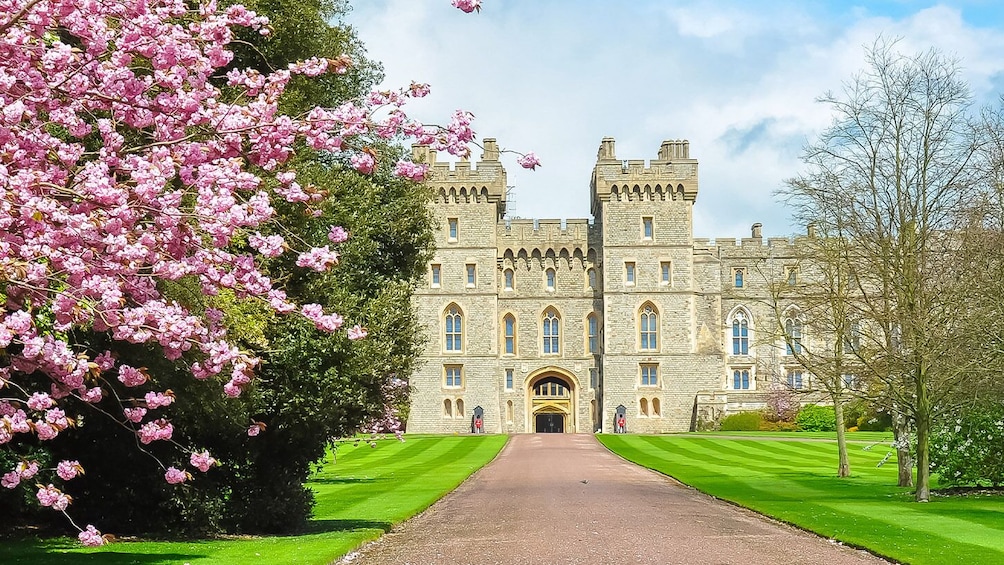 Go London Explorer Pass: 2, 3, 4, 5 or 7 Tours & Attractions