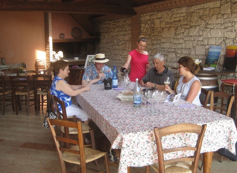 Picture 2 for Activity Soave Wine Tasting Tours from Venice, Verona or Padova