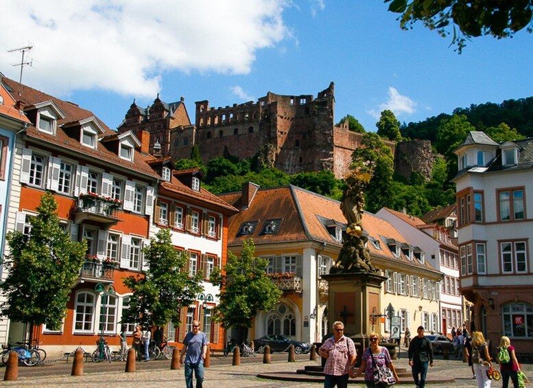 Heidelberg: Private 3-Hour Tour with Castle Visit