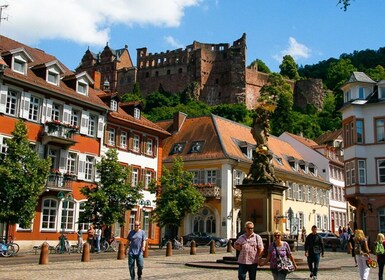 Heidelberg: Heidelberg: Yksityinen 3-tuntinen kiertoajelu ja linnavierailu