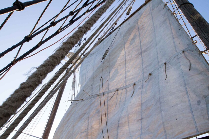 Picture 7 for Activity Sydney: Tall Ship Harbour Twilight Dinner Cruise