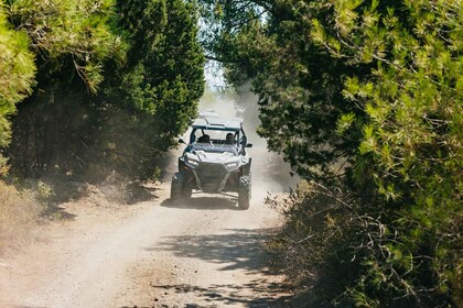 Kremasti: Recorrido todoterreno en Buggy Polaris 4x4 por Rodas