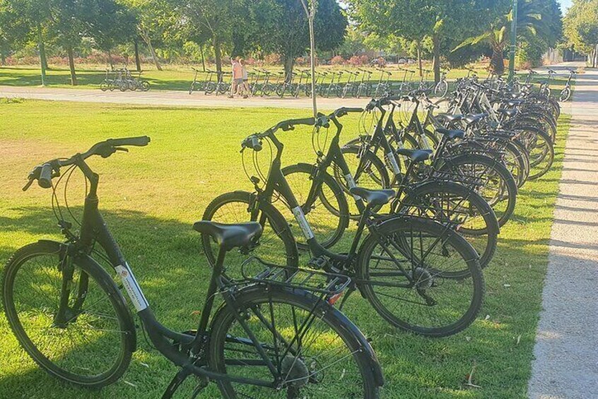 Guided Bike Tour of Seville with a Certified Guide