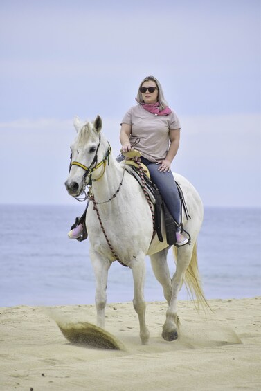 Horseback Riding Tour