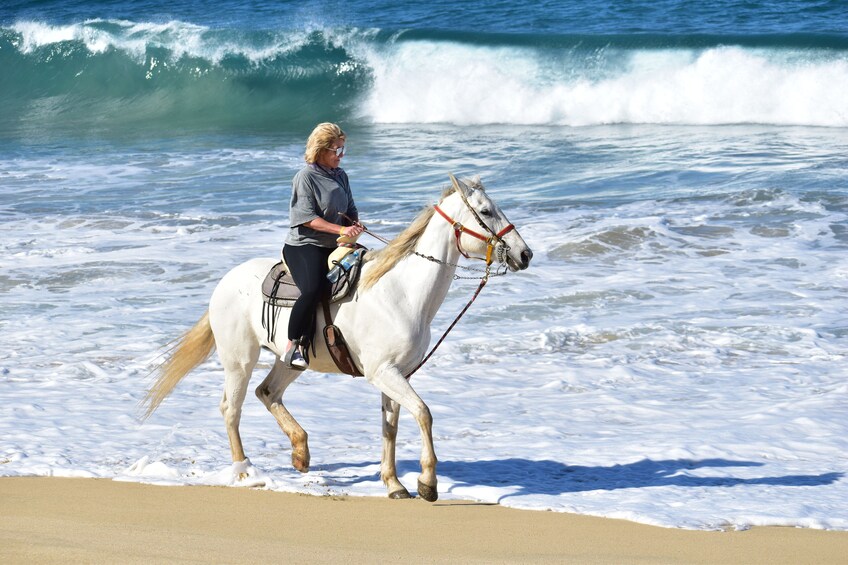 Horseback Riding Tour
