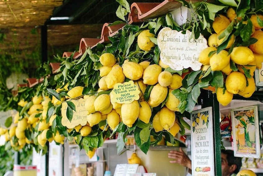 Picture 7 for Activity From Amalfi: Li Galli Islands and Capri Full-Day Boat Tour