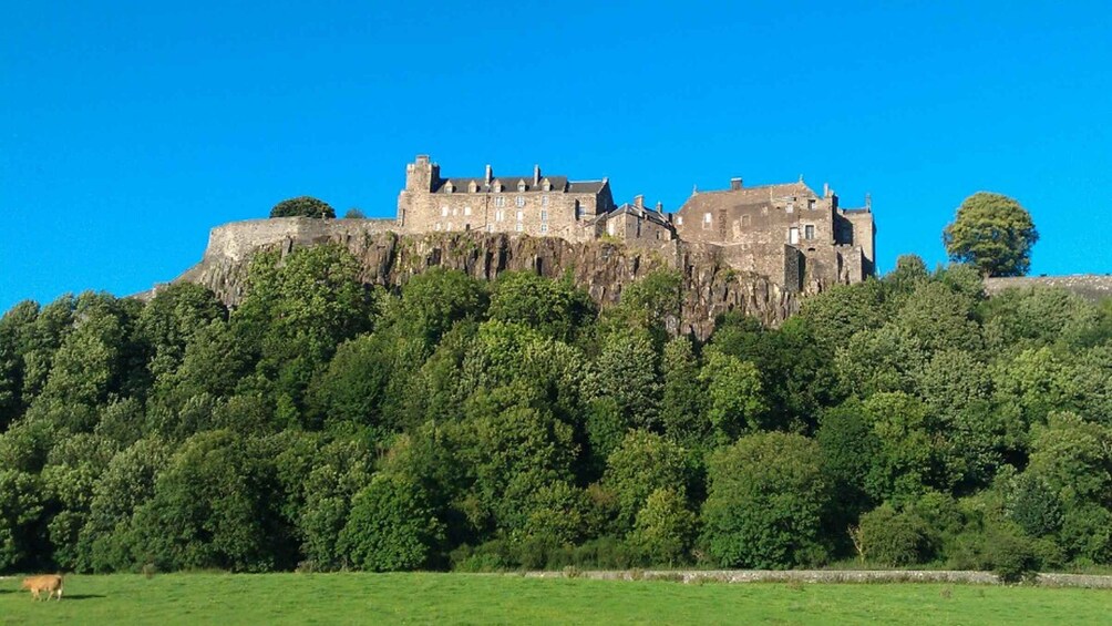 Picture 3 for Activity Stirling Castle, Highland Lochs & Whisky Tour from Edinburgh