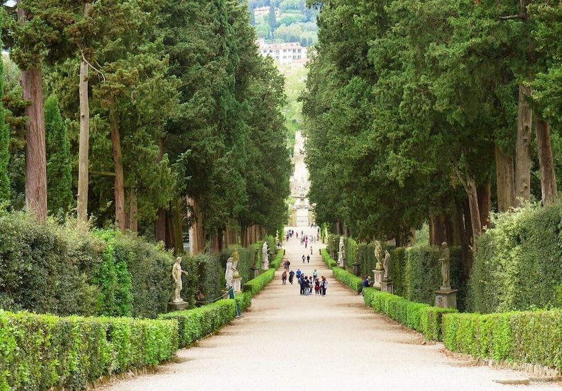 Picture 1 for Activity Florence: Reserved Entry Ticket to the Boboli Gardens