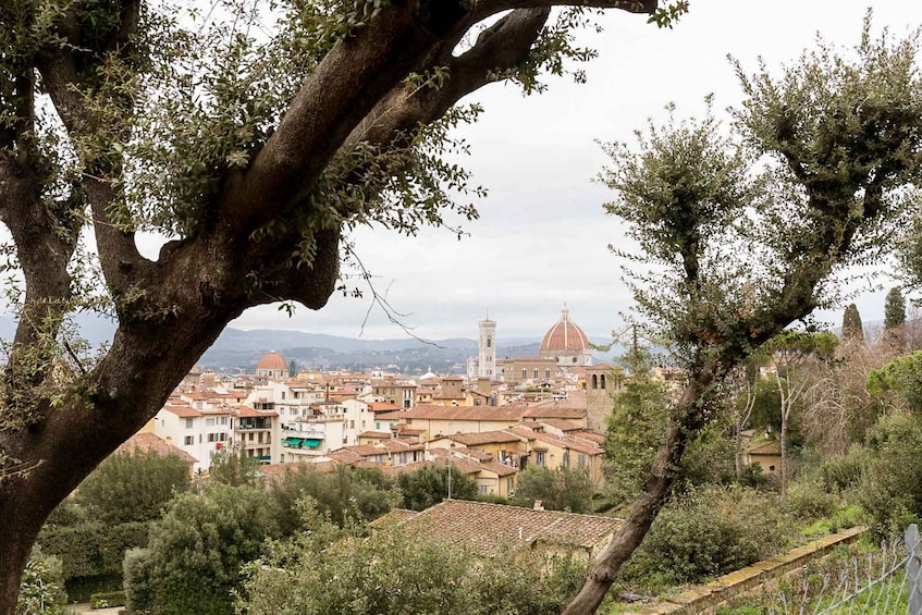 Picture 7 for Activity Florence: Reserved Entry Ticket to the Boboli Gardens