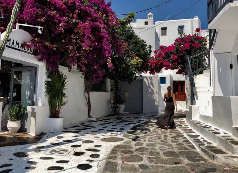 Picture 7 for Activity Mykonos: Full-Day Sightseeing Tour with Lunch