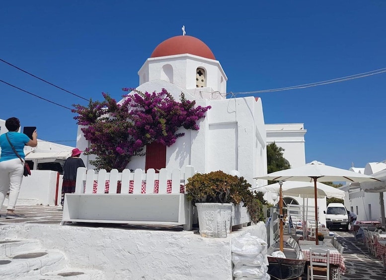 Picture 8 for Activity Mykonos: Full-Day Sightseeing Tour with Lunch