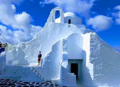 Mykonos: Sightseeing Tour van een hele dag met lunch