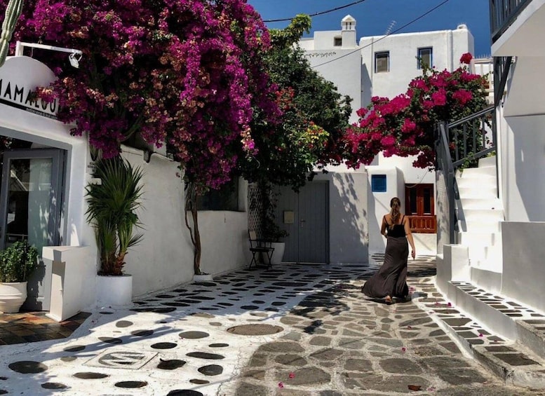 Picture 7 for Activity Mykonos: Full-Day Sightseeing Tour with Lunch
