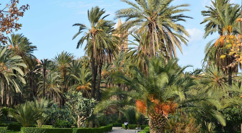 Picture 1 for Activity Palermo: Art and Architecture Walking Tour