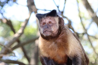 Monkeyland, Birds of Eden, Jukani - Eläinsuojelualueet