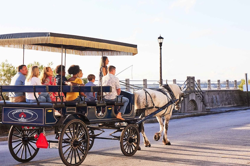 Picture 6 for Activity Charleston: 1-Hour Carriage Tour of the Historic District