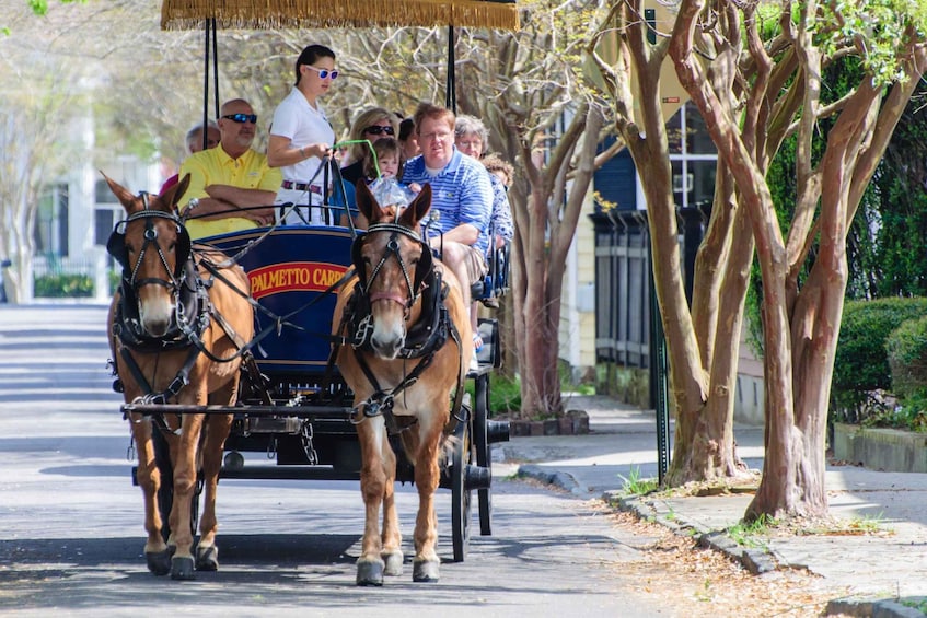 Picture 6 for Activity Charleston: 1-Hour Carriage Tour of the Historic District
