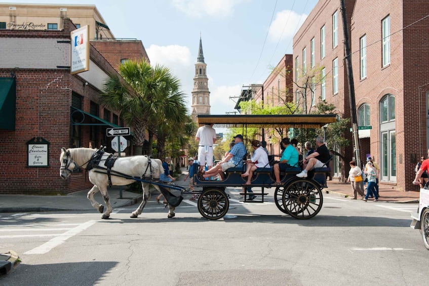 Picture 1 for Activity Charleston: 1-Hour Carriage Tour of the Historic District