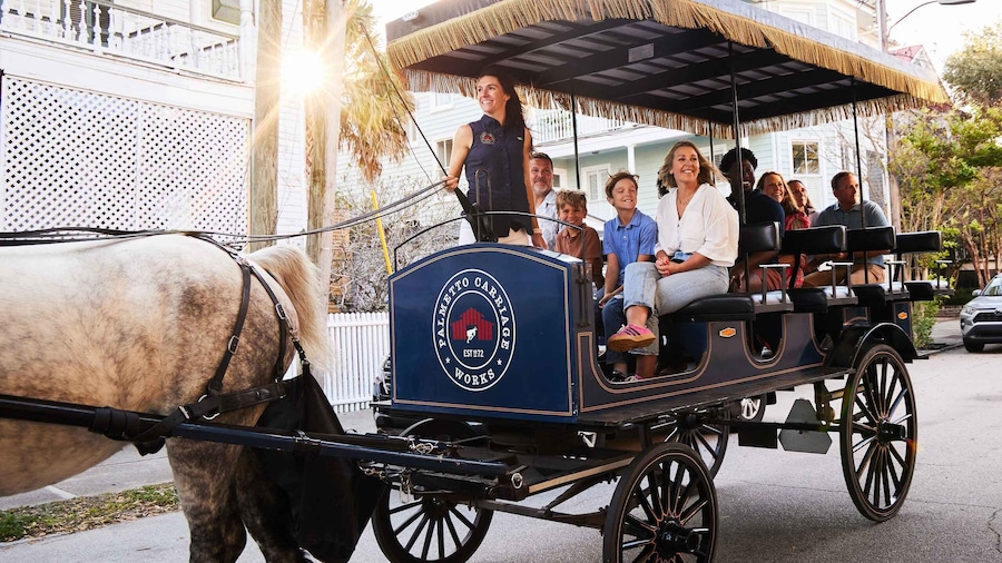 Picture 2 for Activity Charleston: Historic Horse and Carriage Tour of Downtown