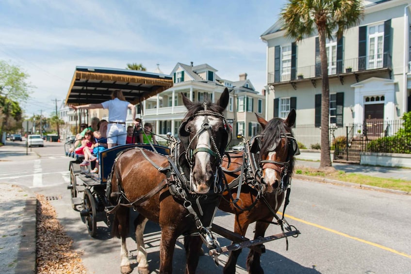 Picture 4 for Activity Charleston: 1-Hour Carriage Tour of the Historic District