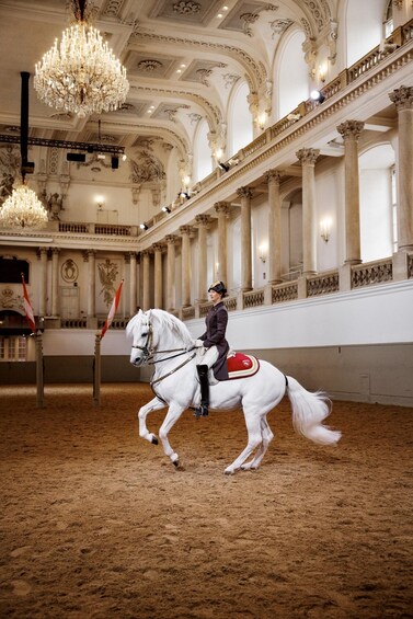 Picture 4 for Activity Performance Of The Lipizzans At Spanish Riding School