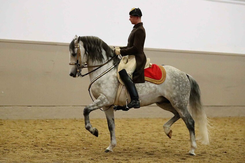 Picture 1 for Activity Performance Of The Lipizzans At Spanish Riding School