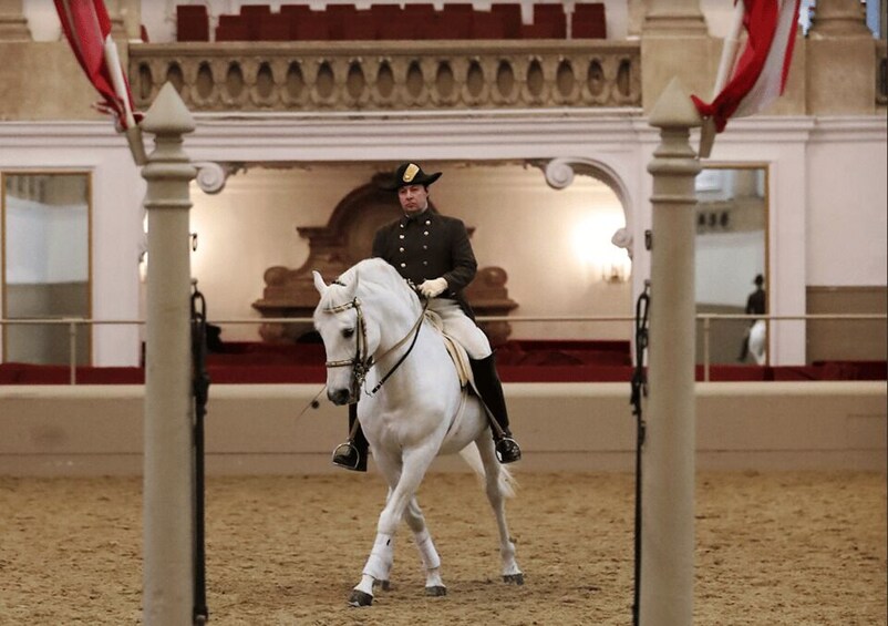 Picture 3 for Activity Performance Of The Lipizzans At Spanish Riding School