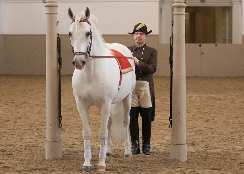Picture 4 for Activity Performance Of The Lipizzans At Spanish Riding School