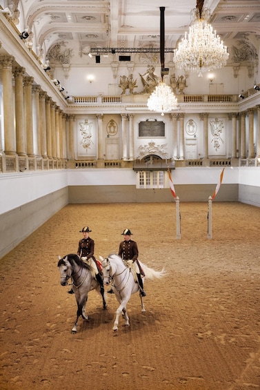 Picture 8 for Activity Performance Of The Lipizzans At Spanish Riding School