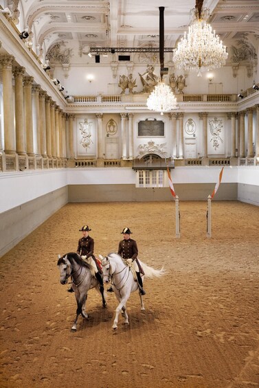 Picture 8 for Activity Performance Of The Lipizzans At Spanish Riding School