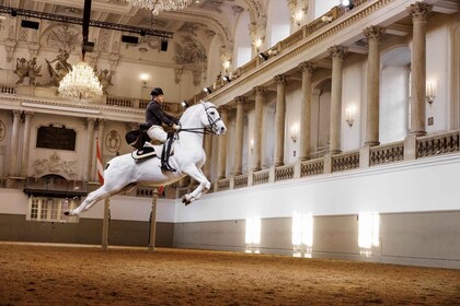 Performance Of The Lipizzans At Spanish Riding School