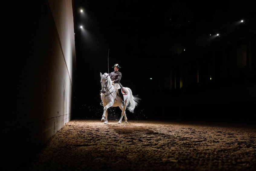 Picture 7 for Activity Performance Of The Lipizzans At Spanish Riding School