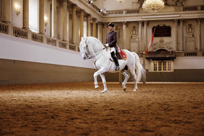 Picture 2 for Activity Performance Of The Lipizzans At Spanish Riding School